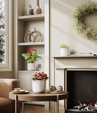 Load image into Gallery viewer, Arctic Whisper