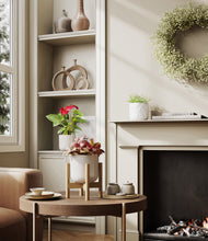 Load image into Gallery viewer, Arctic Whisper stand:one_stand