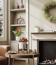 Load image into Gallery viewer, Ivory Peaks stand:one_stand