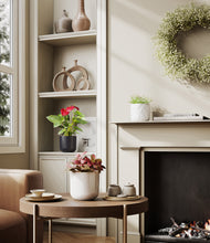 Load image into Gallery viewer, Midnight Snow