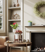 Load image into Gallery viewer, Moss Frost stand:one_stand