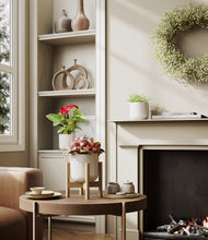 Load image into Gallery viewer, Snowdrift White stand:one_stand