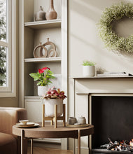 Load image into Gallery viewer, Winter Glow stand:one_stand