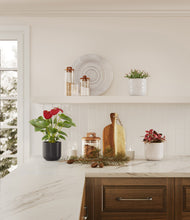 Load image into Gallery viewer, Midnight Snow