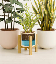 Load image into Gallery viewer, Sandy stand:light