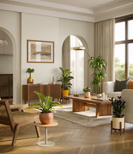 Load image into Gallery viewer, Evening Sky stand:three_stands