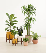 Load image into Gallery viewer, Evening Sky stand:three_stands