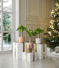 Load image into Gallery viewer, Peach Blossom stand:one_stand