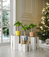 Load image into Gallery viewer, Pixie Petals stand:one_stand