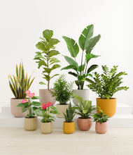 Load image into Gallery viewer, Evening Sky