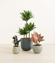 Load image into Gallery viewer, Earthy*****Profile