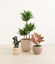 Load image into Gallery viewer, Sandy*****Profile