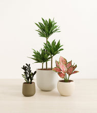 Load image into Gallery viewer, Woodland*****Profile