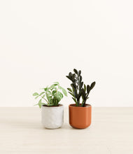 Load image into Gallery viewer, Candy Cane*****Profile