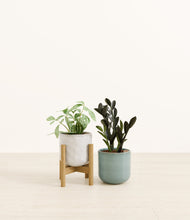 Load image into Gallery viewer, Crystal Mirage stand:one_stand