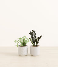 Load image into Gallery viewer, Frozen Horizon*****Profile