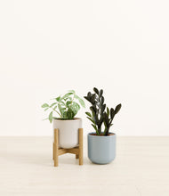 Load image into Gallery viewer, Icy Horizon stand:one_stand