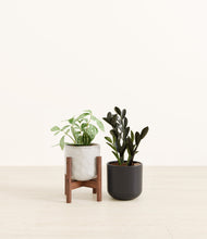 Load image into Gallery viewer, Midnight Peaks stand:one_stand