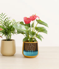 Load image into Gallery viewer, Evening Sky