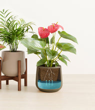 Load image into Gallery viewer, Woodland stand:one_stand