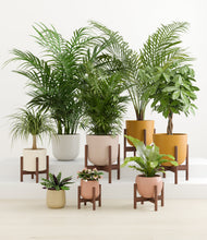 Load image into Gallery viewer, Evening Sky stand:six_stands