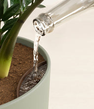 Load image into Gallery viewer, Sage Green stand:all