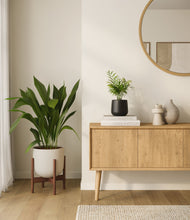 Load image into Gallery viewer, Orca stand:one_stand
