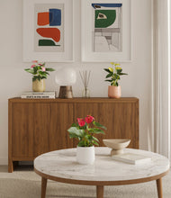 Load image into Gallery viewer, Sandy
