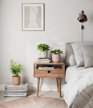 Load image into Gallery viewer, Peach Blossom
