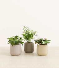 Load image into Gallery viewer, Woodland*****Profile
