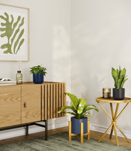 Load image into Gallery viewer, Eclipse stand:light
