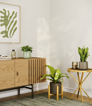 Load image into Gallery viewer, Countryside stand:light
