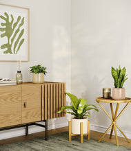 Load image into Gallery viewer, Sandy stand:light
