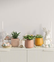 Load image into Gallery viewer, Evening Sky
