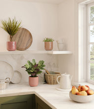 Load image into Gallery viewer, Blush Harmony
