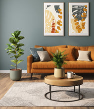 Load image into Gallery viewer, Mountain Ridge
