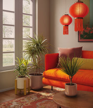 Load image into Gallery viewer, Peach Blossom
