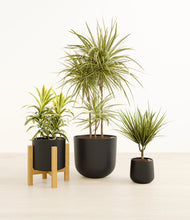 Load image into Gallery viewer, Charcoal*****Profile
