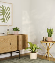 Load image into Gallery viewer, Desert Blush
