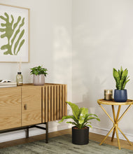 Load image into Gallery viewer, Winding River
