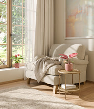 Load image into Gallery viewer, Coral Companions
