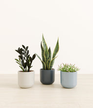 Load image into Gallery viewer, Pebble Shore
