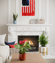 Load image into Gallery viewer, -
