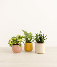 Load image into Gallery viewer, Evening Sky*****Profile
