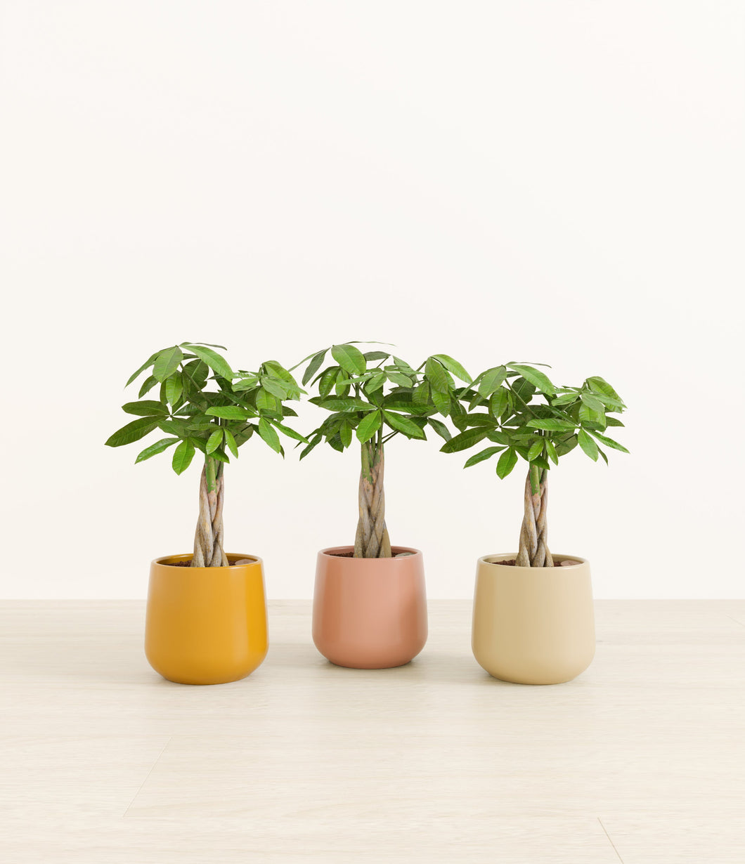 Evening Sky*****Profile