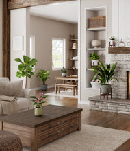 Load image into Gallery viewer, Earthy stand:three_stands
