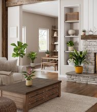 Load image into Gallery viewer, Evening Sky
