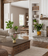 Load image into Gallery viewer, Evening Sky stand:three_stands
