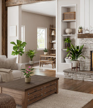 Load image into Gallery viewer, Woodland stand:three_stands
