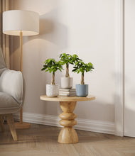 Load image into Gallery viewer, Frosted Lagoon
